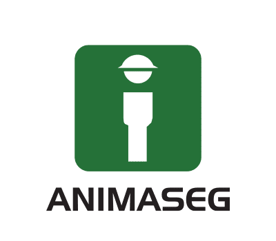 Animaseg